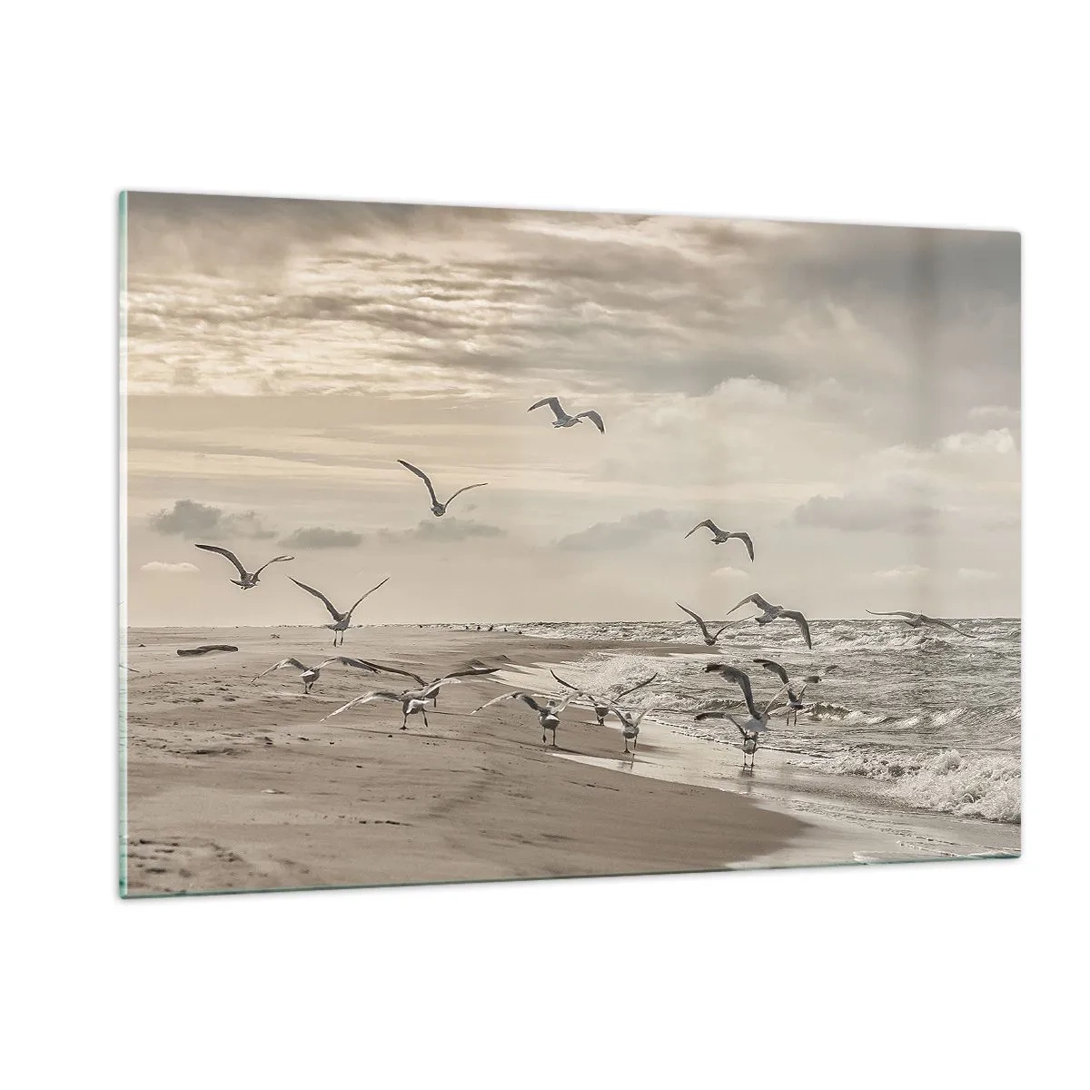 Cuadro sobre vidrio - Impresiones sobre Vidrio - Pájaros en la orilla del mar al amanecer en tonos sepia - 120x80cm - El sonido del mar, el canto de los pájaros - Decoración de pared moderna para salón y dormitorio ARTTOR