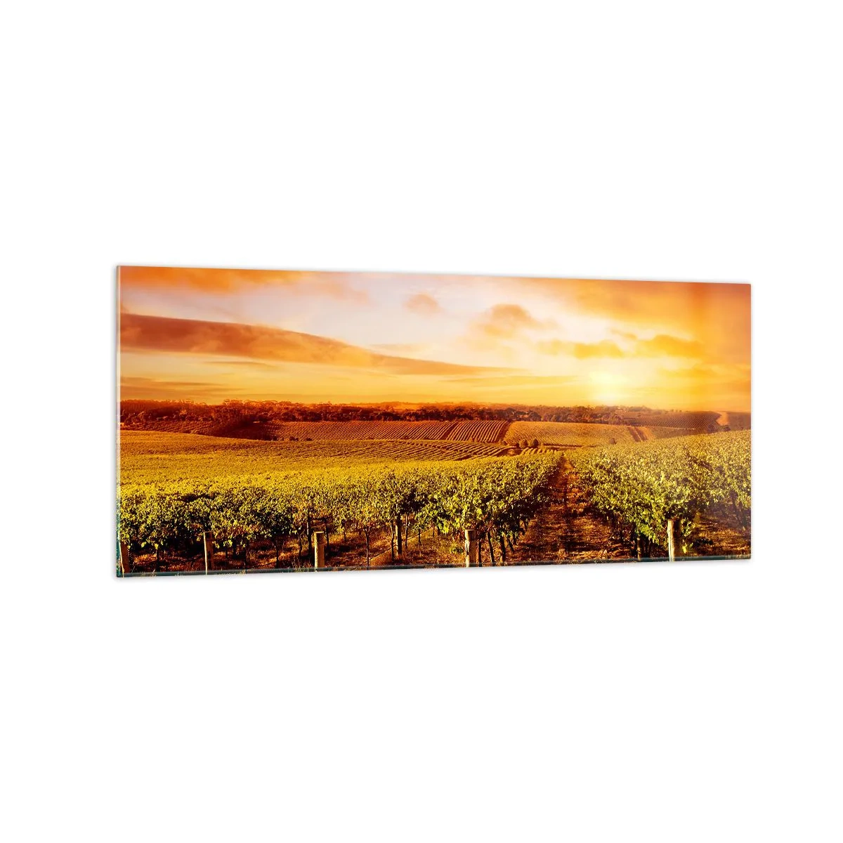 Cuadro sobre vidrio - Impresiones sobre Vidrio - Viñedo al atardecer con tonos cálidos del cielo. - 120x50cm - Delicadamente afrutado con un toque de sol - Decoración de pared moderna para salón y dormitorio ARTTOR