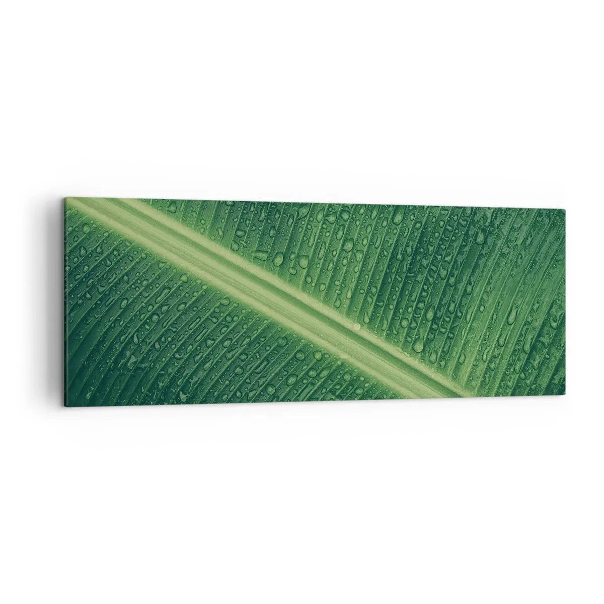 Cuadro sobre lienzo - Impresión de Imagen - Una hoja verde con gotas de agua en su superficie. - 140x50cm - Estructura del verde - Decoración de pared moderna para salón y dormitorio ARTTOR