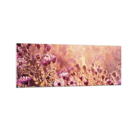 Cuadro sobre vidrio - Impresiones sobre Vidrio - Pradera a la luz del sol poniente - 140x50cm - Antes de que se acabe el verano - Decoración de pared moderna para salón y dormitorio ARTTOR