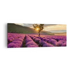 Cuadro sobre lienzo - Impresión de Imagen - Un campo de lavanda con un árbol solitario al atardecer. - 140x50cm - Aroma en lila - Decoración de pared moderna para salón y dormitorio ARTTOR