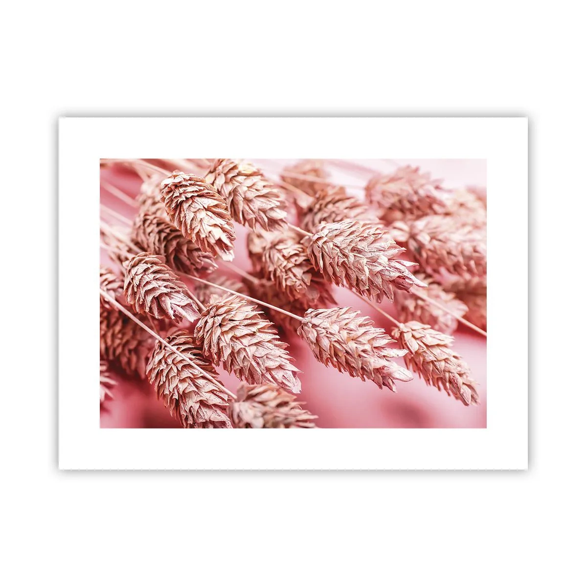 Póster - Estructura floral en rosa - 40x30 cm