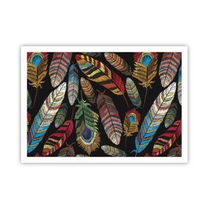 Póster - Plumas de colores sobre un fondo negro - 100x70cm - Carnaval de las aves - Decoración de pared moderna para salón y dormitorio ARTTOR