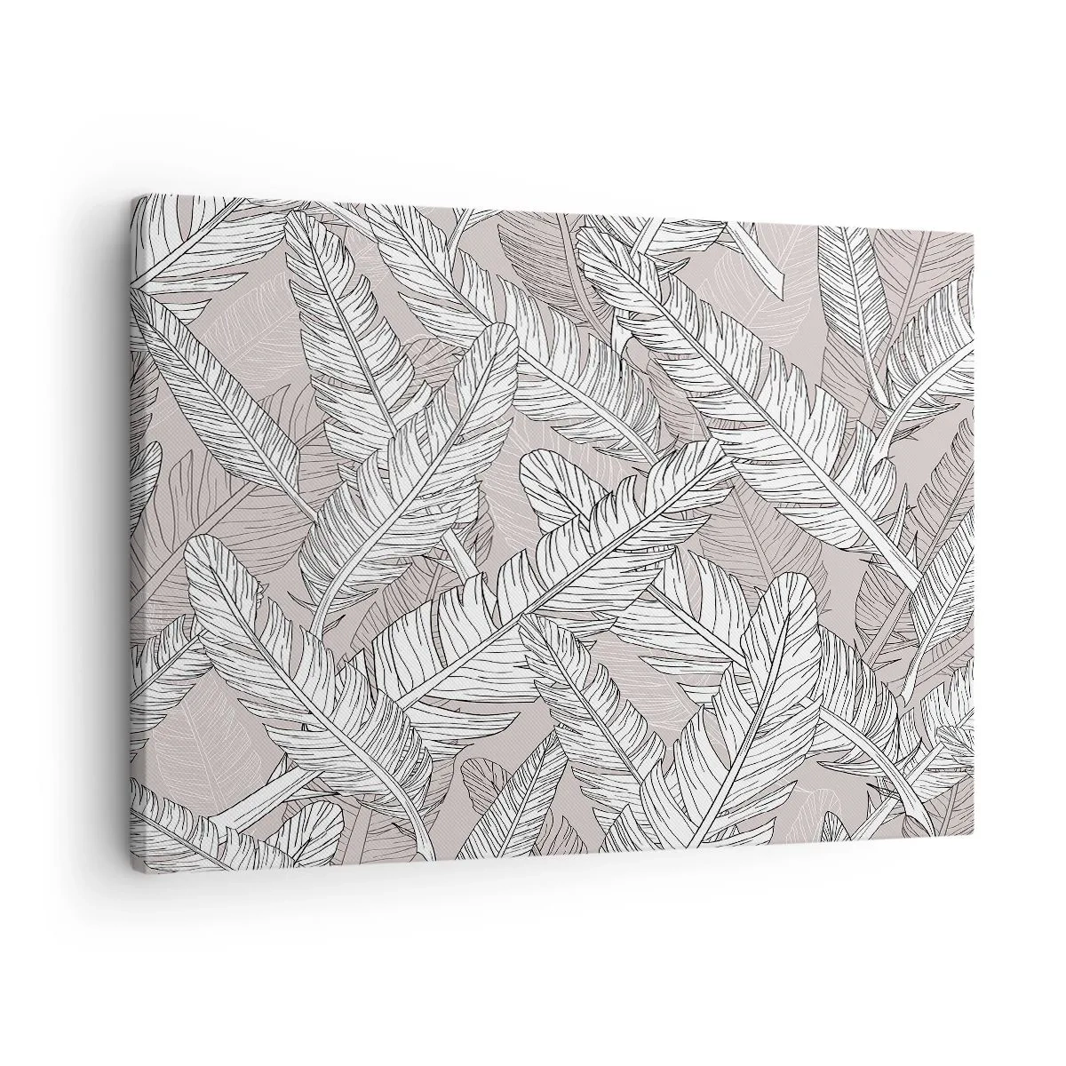 Cuadro sobre lienzo - Impresión de Imagen - Patrón en blanco y negro con hojas de plátano sobre un fondo claro. - 70x50cm - Turbulencias de plumas - Decoración de pared moderna para salón y dormitorio ARTTOR