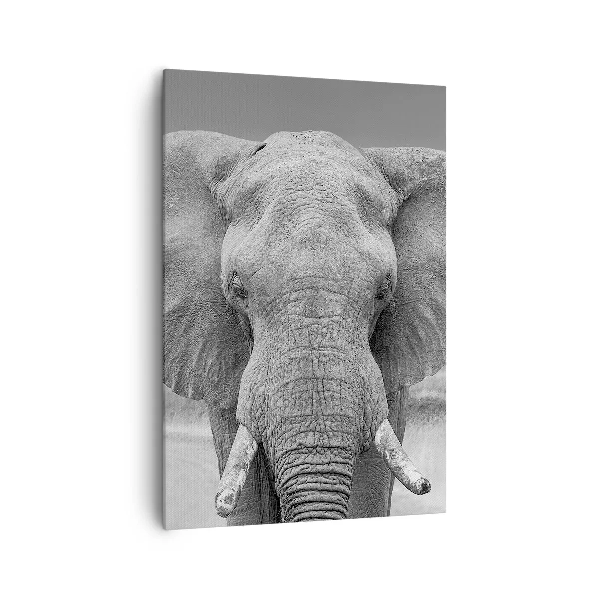 Cuadro sobre lienzo - Impresión de Imagen - Retrato de un elefante en blanco y negro - 70x100cm - Bienvenido a mi mundo - Decoración de pared moderna para salón y dormitorio ARTTOR