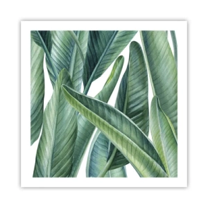 Póster - Vegetación en estado puro - 60x60 cm