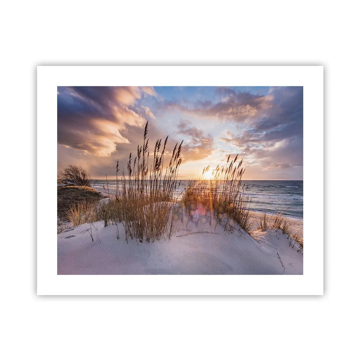 Póster - Adiós al sol y al viento - 50x40 cm