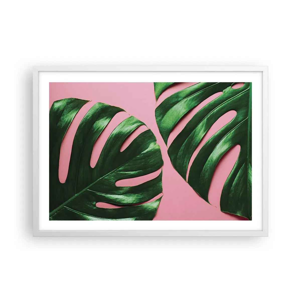 Póster en marco blanco - Cita con el verde - 70x50 cm