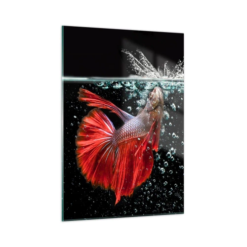 Cuadro sobre vidrio - Impresiones sobre Vidrio - Betta rojo en una composición de agua dinámica - 50x70cm - Tienes tres deseos - Decoración de pared moderna para salón y dormitorio ARTTOR