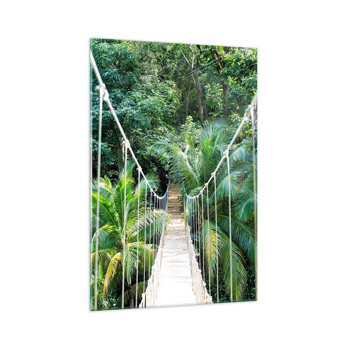 Cuadro sobre vidrio - Impresiones sobre Vidrio - Un puente colgante en una selva tropical llena de vegetación. - 70x100cm - ¡Bienvenido a la selva! - Decoración de pared moderna para salón y dormitorio ARTTOR
