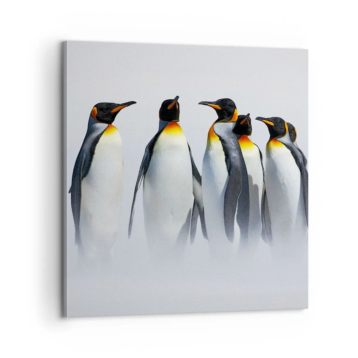 Cuadro sobre lienzo - Impresión de Imagen - Reunión en traje de noche - 60x60 cm