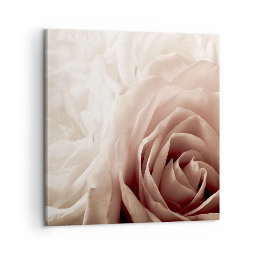 Cuadro sobre lienzo - Impresión de Imagen - En el corazón de una rosa - 60x60 cm