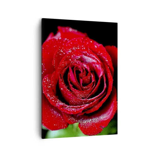 Cuadro sobre lienzo - Impresión de Imagen - Una rosa roja cubierta de gotas de rocío sobre un fondo negro. - 50x70cm - Eso es el amor - Decoración de pared moderna para salón y dormitorio ARTTOR