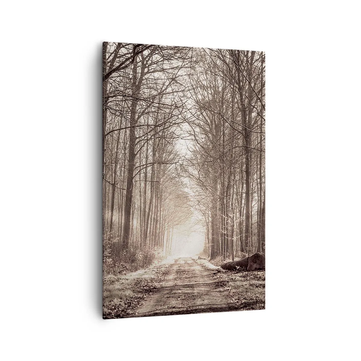Cuadro sobre lienzo - Impresión de Imagen - Un sendero forestal entre árboles en tonos sepia. - 80x120cm - La catedral del bosque - Decoración de pared moderna para salón y dormitorio ARTTOR