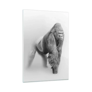 Cuadro sobre vidrio - Impresiones sobre Vidrio - Retrato en blanco y negro de un majestuoso gorila sobre un fondo blanco. - 50x70cm - Confiando en su fuerza - Decoración de pared moderna para salón y dormitorio ARTTOR