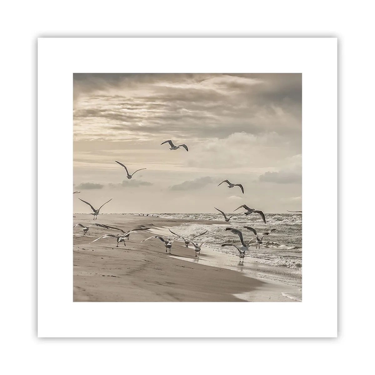 Póster - El sonido del mar, el canto de los pájaros - 30x30 cm