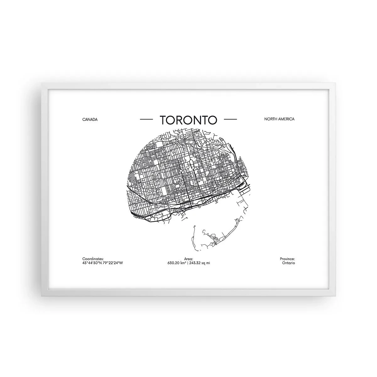 Póster en marco blanco - Anatomía de Toronto - 70x50 cm