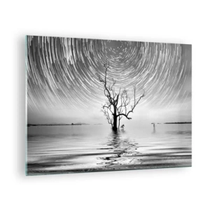 Cuadro sobre vidrio - Impresiones sobre Vidrio - Paisaje en blanco y negro con un árbol y rayas de estrellas. - 70x50cm - Una sinfonía de la naturaleza - Decoración de pared moderna para salón y dormitorio ARTTOR