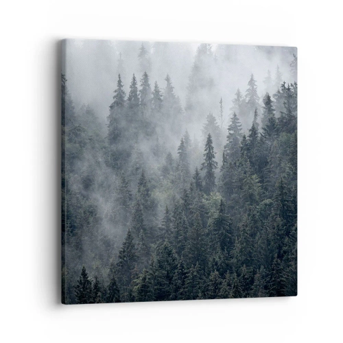 Cuadro sobre lienzo - Impresión de Imagen - Amanecer en el bosque - 40x40 cm