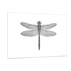 Cuadro sobre vidrio - Impresiones sobre Vidrio - Ilustración detallada de una libélula en estilo grabado sobre un fondo blanco. - 120x80cm - Precisión de la naturaleza - Decoración de pared moderna para salón y dormitorio ARTTOR