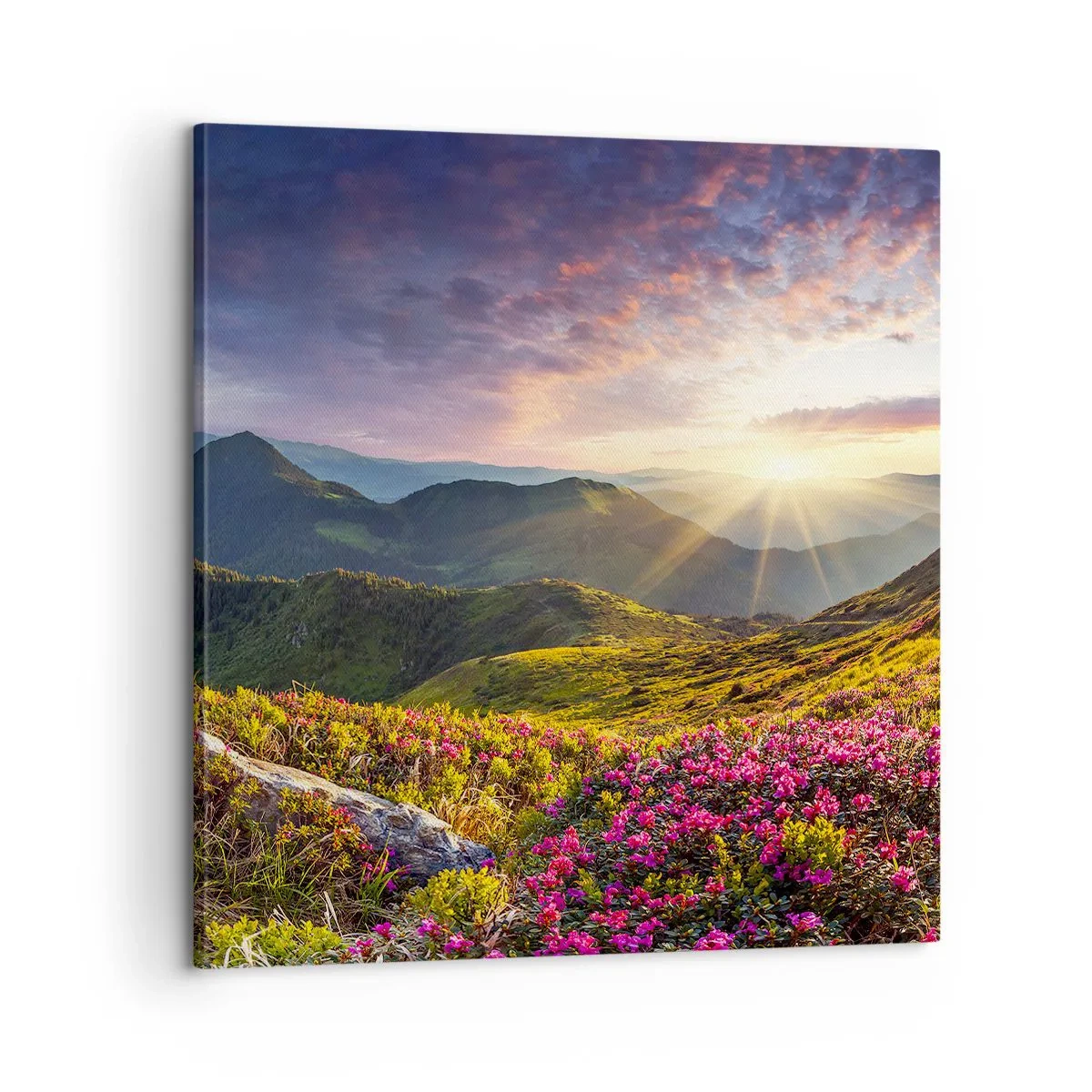 Cuadro sobre lienzo - Impresión de Imagen - La frescura de una mañana de montaña - 60x60 cm