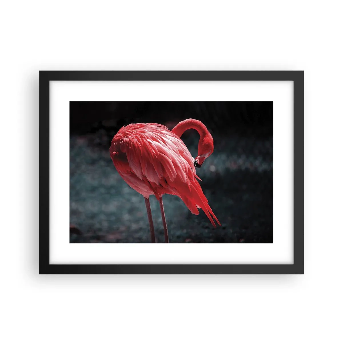 Póster en marco negro - Un poema carmesí de la naturaleza - 40x30 cm