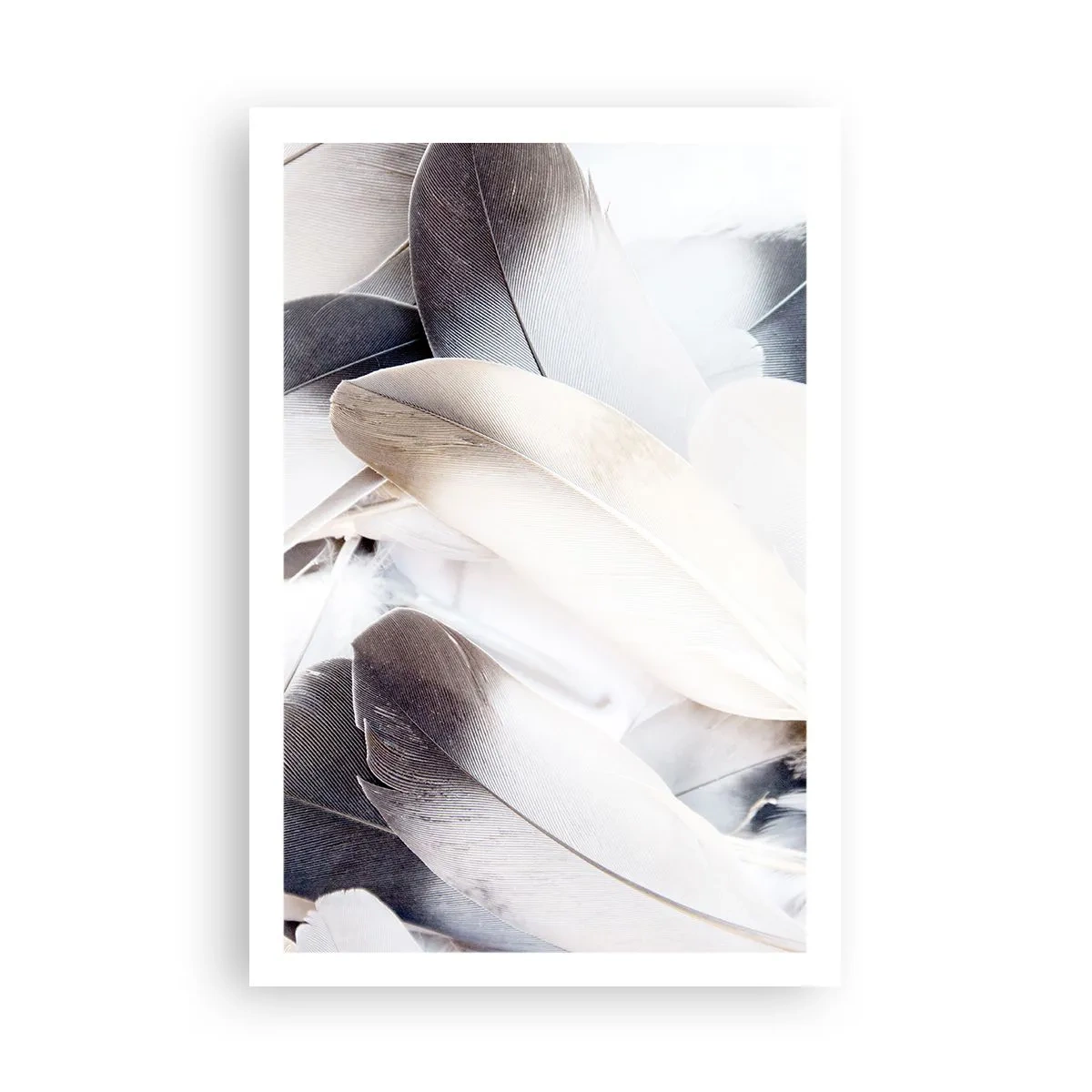 Póster - Casi angelical - 61x91 cm