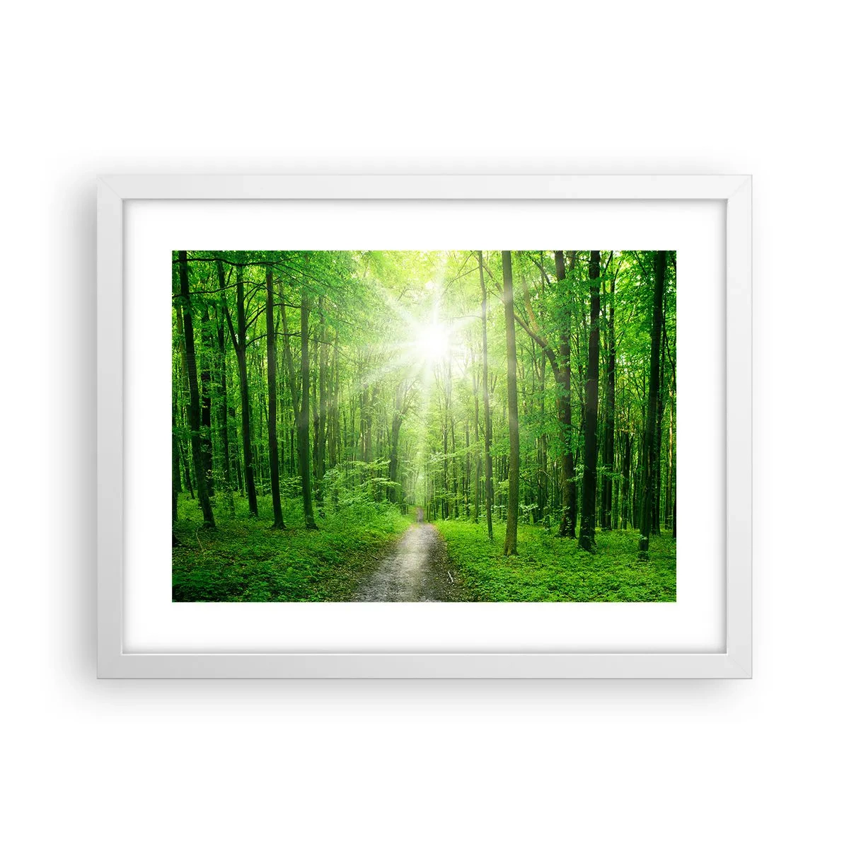 Póster en marco blanco - Catedral verde - 40x30 cm