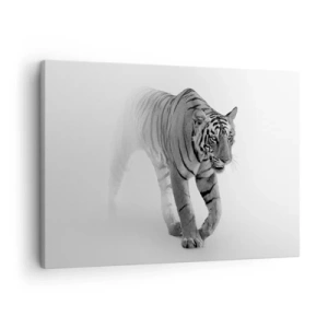 Cuadro sobre lienzo - Impresión de Imagen - Un tigre emergiendo de la niebla. - 70x50cm - Siempre alerta entre la niebla - Decoración de pared moderna para salón y dormitorio ARTTOR