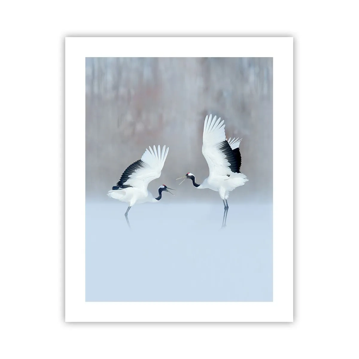 Póster - Danza en la niebla - 40x50 cm