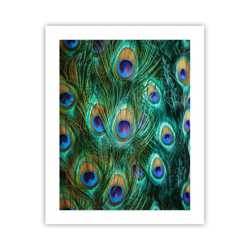 Póster - Mirada de pavo real - 40x50 cm