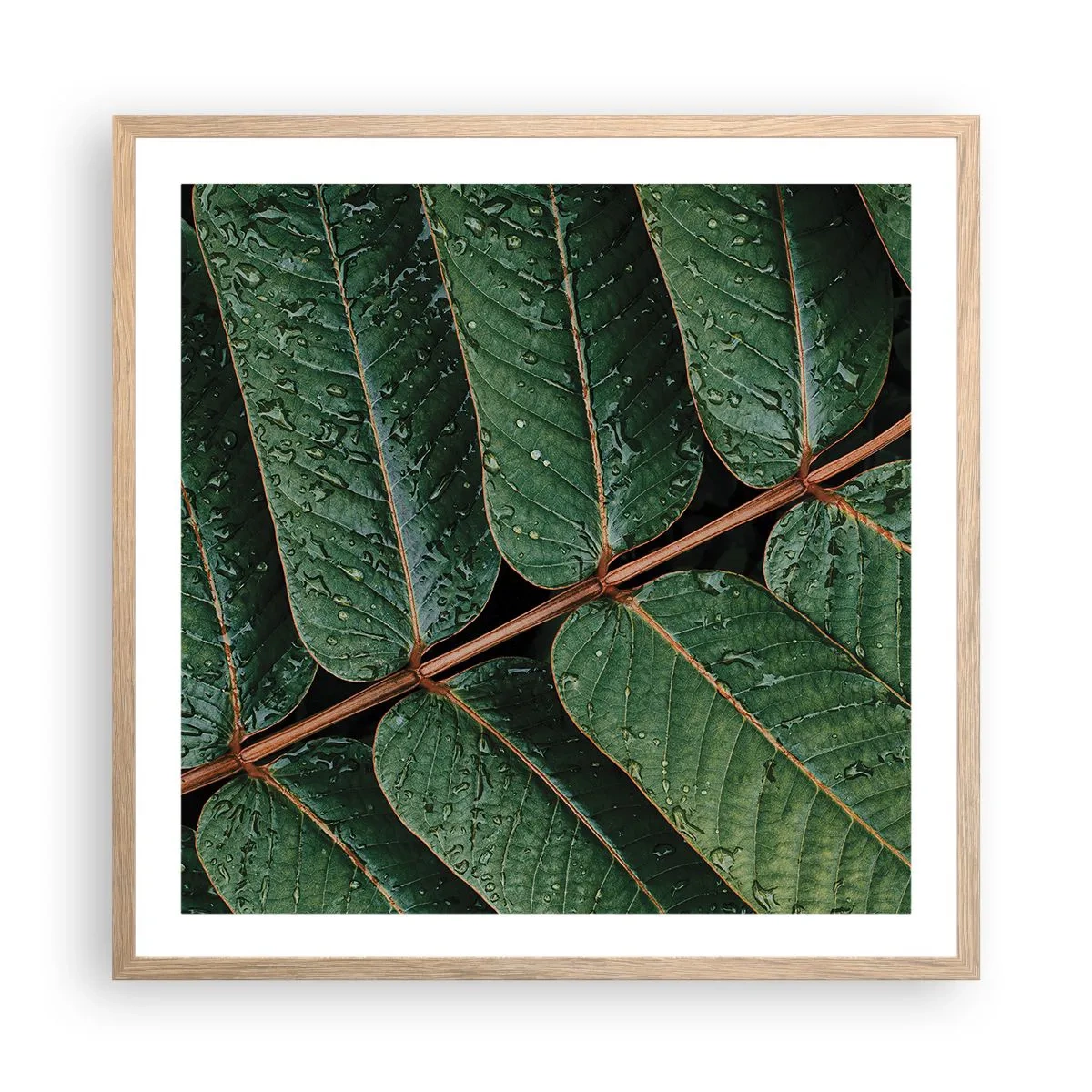Póster en marco roble claro - En un ritmo verde - 60x60 cm