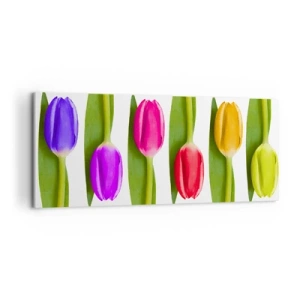 Cuadro sobre lienzo - Impresión de Imagen - Tulipanes multicolores dispuestos en fila sobre un fondo blanco. - 120x50cm - Composición del arco iris - Decoración de pared moderna para salón y dormitorio ARTTOR