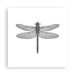 Póster - Precisión de la naturaleza - 40x40 cm