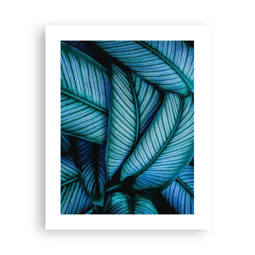 Póster - Líneas de vida - 40x50 cm