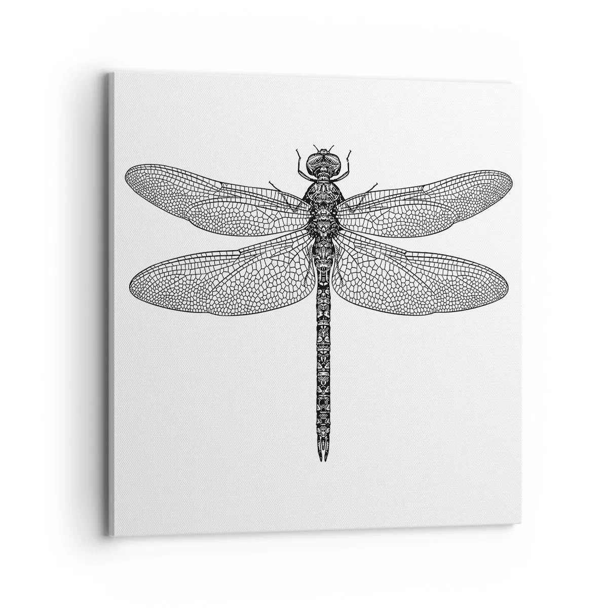 Cuadro sobre lienzo - Impresión de Imagen - Precisión de la naturaleza - 70x70 cm