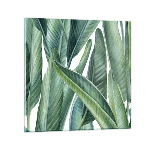 Cuadro sobre vidrio - Impresiones sobre Vidrio - Vegetación en estado puro - 30x30 cm