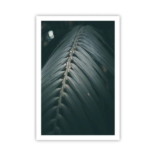 Póster - La precisión de la naturaleza - 61x91 cm