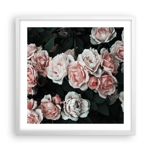 Póster en marco blanco - Conjunto de rosas - 50x50 cm