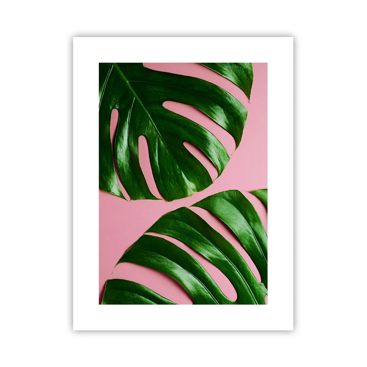 Póster - Cita con el verde - 30x40 cm