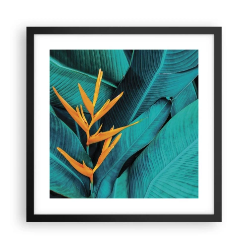 Póster en marco negro - Flor del Edén - 40x40 cm