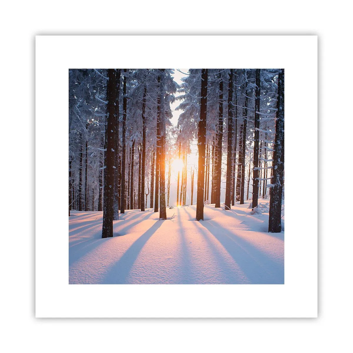 Póster - Claramente en blanco y negro - 30x30 cm