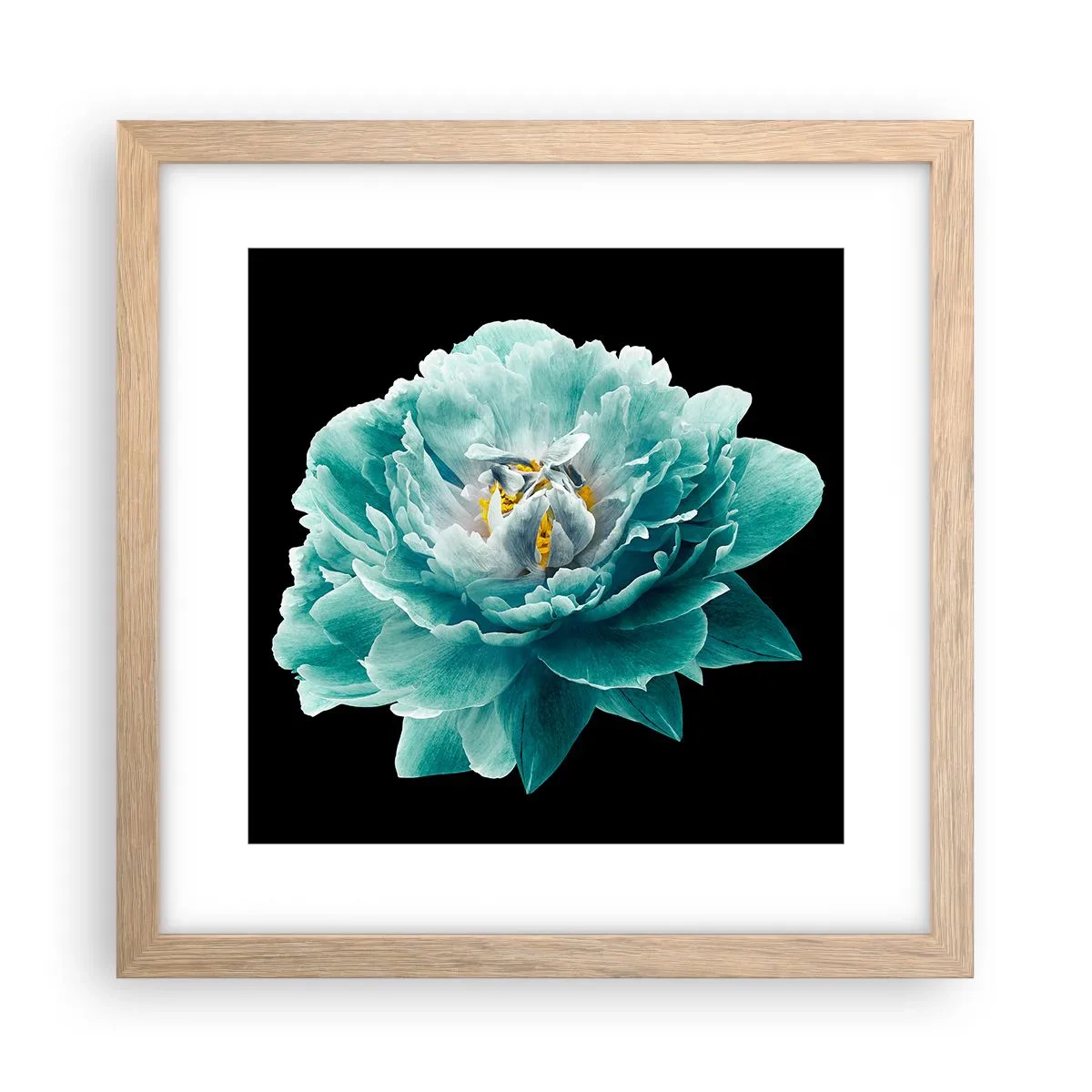 Póster en marco roble claro - Pétalos azules y dorados - 30x30 cm