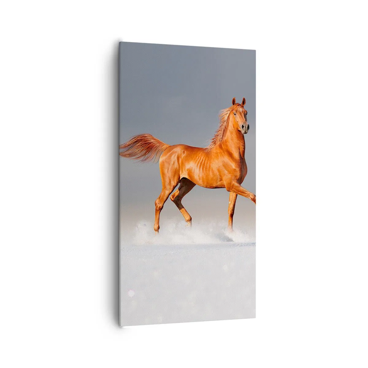 Cuadro sobre lienzo - Impresión de Imagen - Danza al viento - 65x120 cm