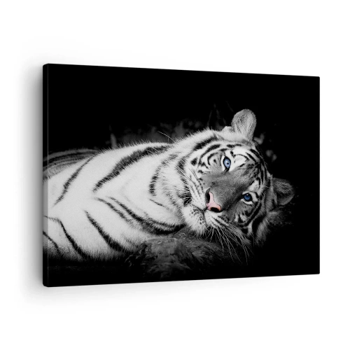 Cuadro sobre lienzo - Impresión de Imagen - Un tigre blanco representado artísticamente sobre un fondo negro. - 70x50cm - Salvaje y tranquilo - Decoración de pared moderna para salón y dormitorio ARTTOR