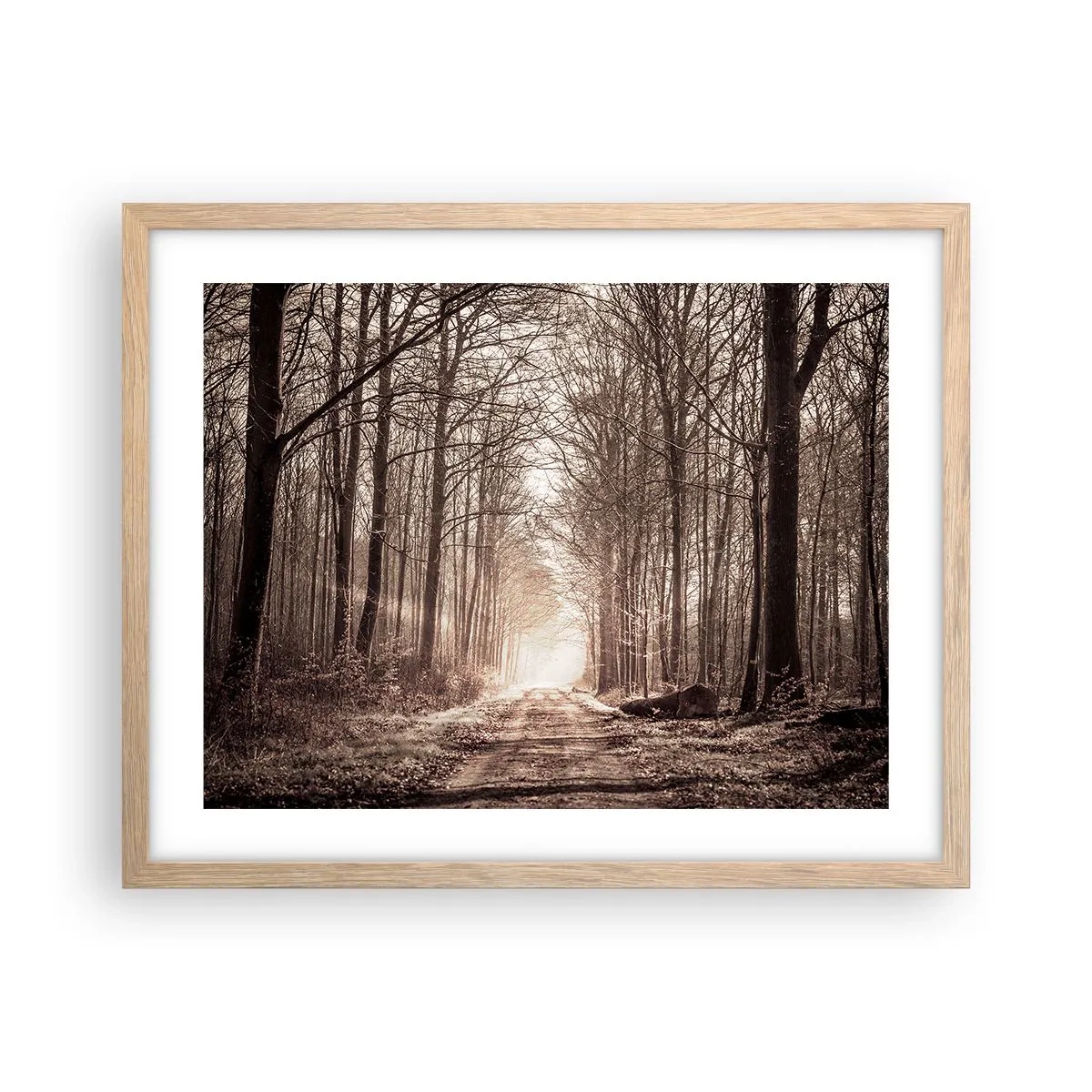 Póster en marco roble claro - La catedral del bosque - 50x40 cm