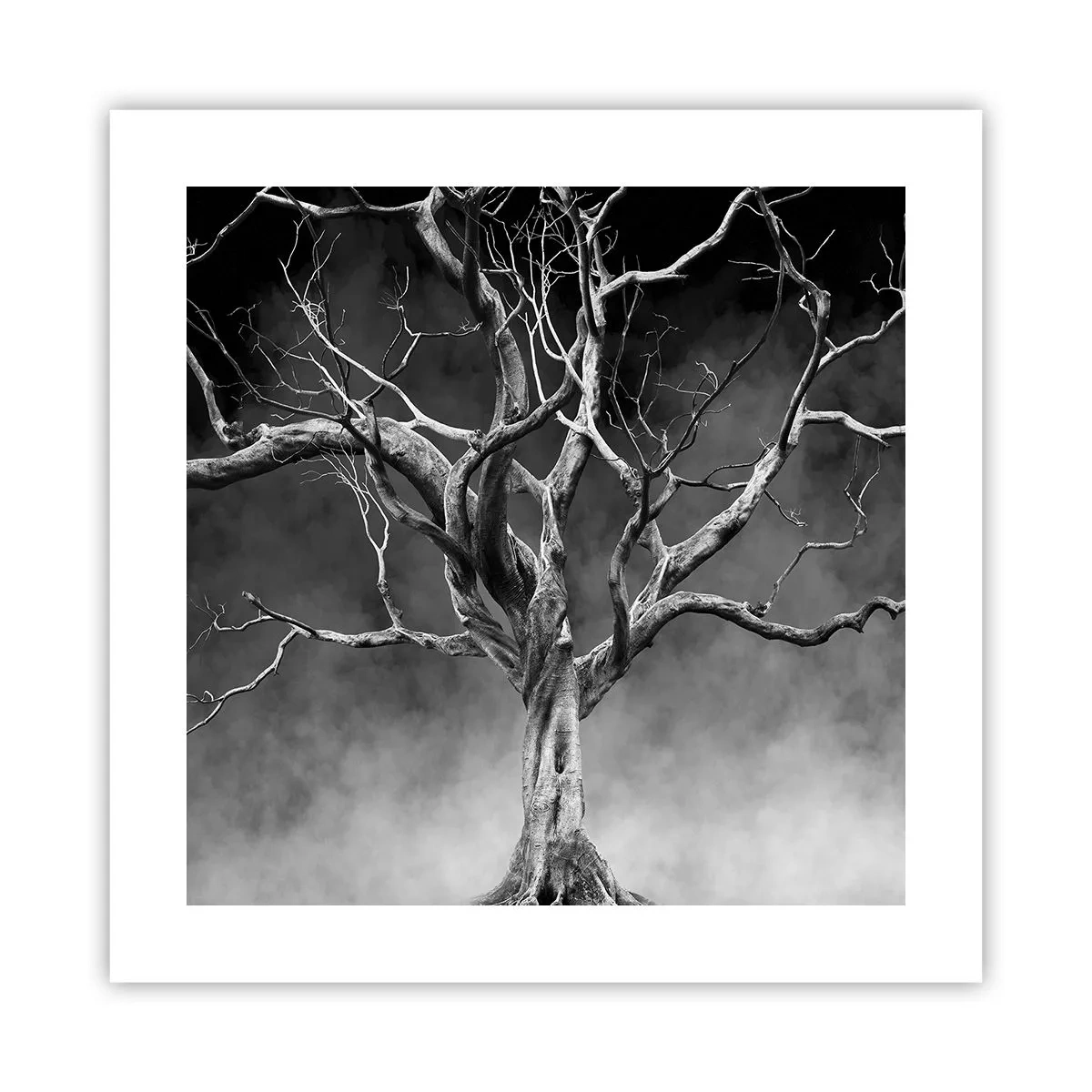 Póster - Primordial y sagrado - 40x40 cm