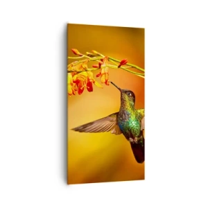 Cuadro sobre lienzo - Impresión de Imagen - Mensajero de la luz - 65x120 cm