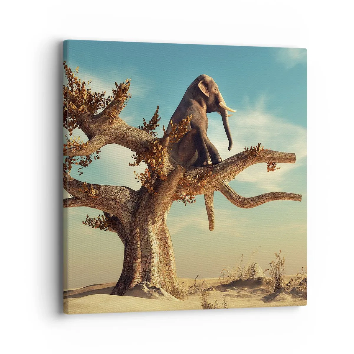 Cuadro sobre lienzo - Impresión de Imagen - Un nuevo punto de vista - 40x40 cm