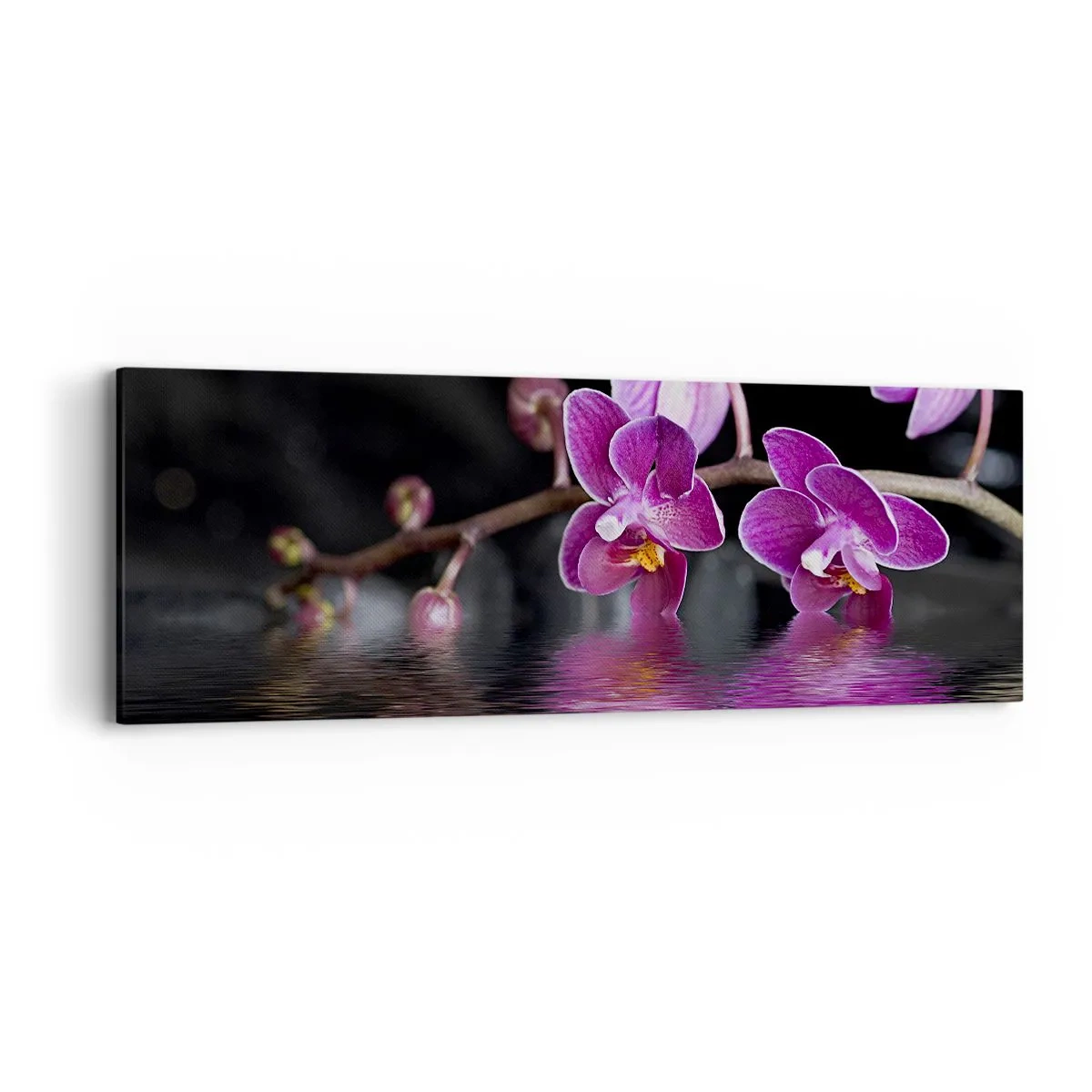 Cuadro sobre lienzo - Impresión de Imagen - Un reflejo lila de la belleza - 90x30 cm